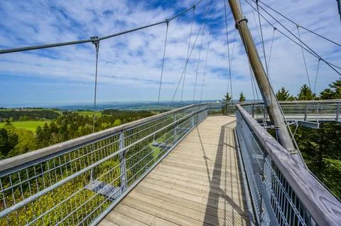 View of the tree top path and trail in beautiful mountain scenery - Skywalk.. Фото