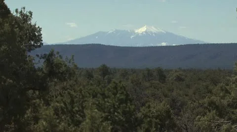 View of Tree Tops and Mountains in The Background Video stock 19011229