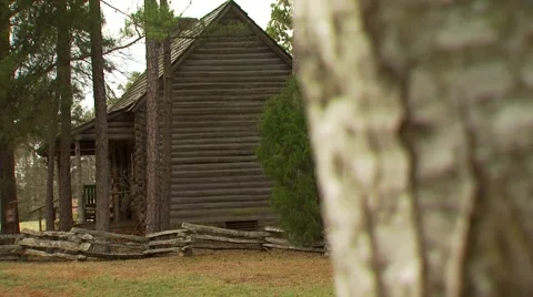 View of tree trunk and wooden cabin Stock Footage 55570385