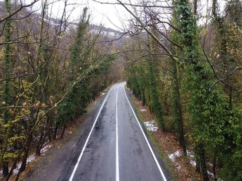 The view of the tree tunnel Stock Photos