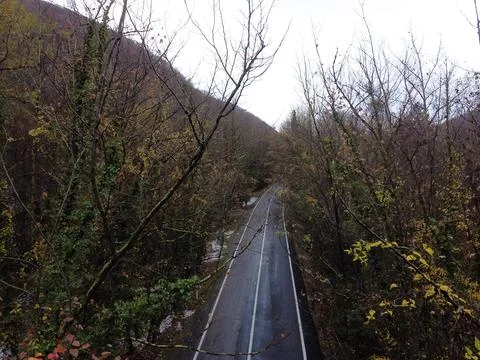 The view of the tree tunnel Stock Photos