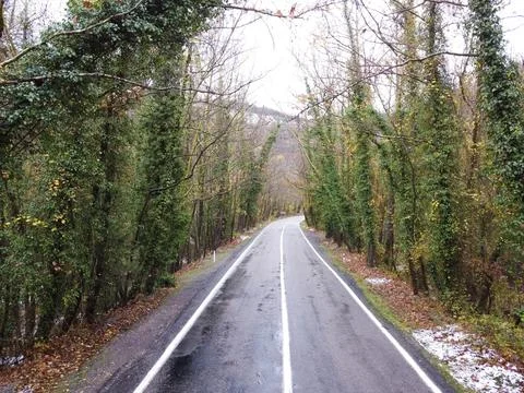 The view of the tree tunnel Stock Photos