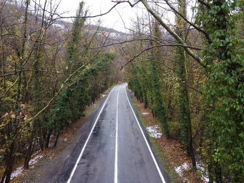 The view of the tree tunnel Stock Photos