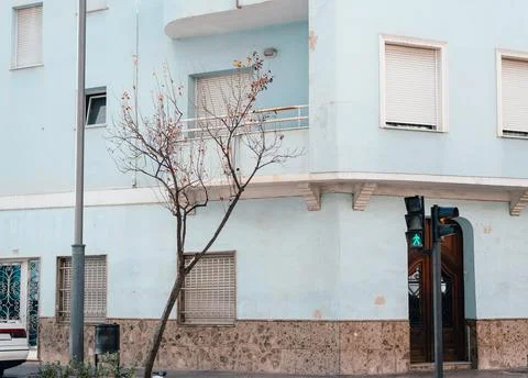 View on a tree without leaves on the background of a blue residential buildin Stock Photos