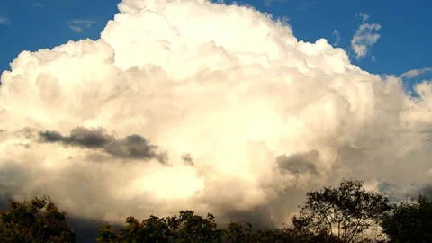 View of Trees and clouds in the evening  , countryside Chiangmai province  Thail Stock Footage 245466186