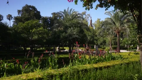View of trees and fountain in Parque de Mari­a Luisa on a sunny day in Seville Vídeos de archivo 344542840
