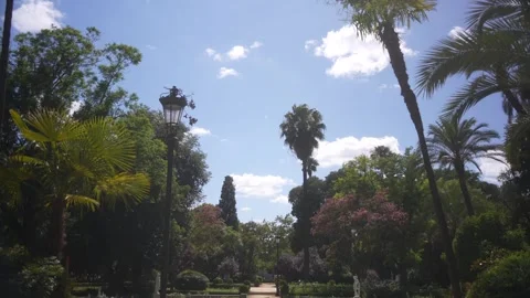 View of trees and fountain in Parque de Mari­a Luisa on a sunny day in Seville Vídeos de archivo 344543771
