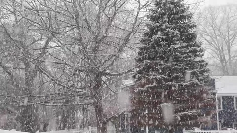 View of Trees and House in heavy snow fall in Winter, handheld. Stock Footage 148391024