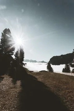 View of a trees and mountain Stock Photos