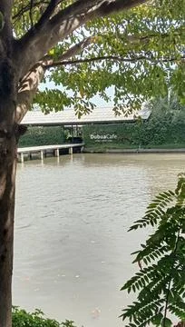 View of trees and river Stock Photos