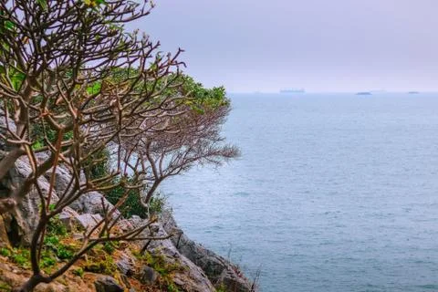 View of trees and rocks overlooking the boat at the sea on Ko Sichang, Chonbu Stock Photos