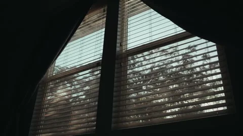 View of trees and sky through angled window blinds in a dark room Stock Footage 344992356
