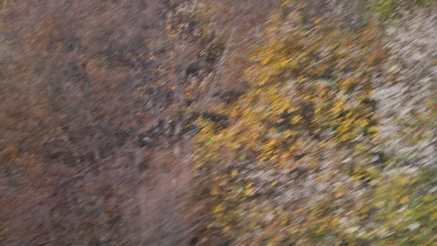 A view of the trees with autumn leaves from the cable car as it goes downhill Stock Footage 119422609