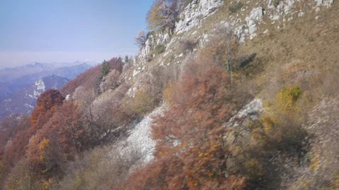 A view of the trees with autumn leaves from the cable car as it goes downhill Stock Footage 119422808