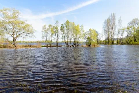 View of trees close to the Dnieper river in spring Фото
