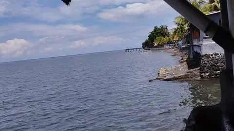 The view of the trees on the edge of the sea water is very beautiful Stock Footage 223851924