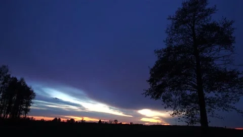 View of the trees in the evening after sunset. Stock Footage 165068574