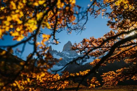 View from trees on Fitz Roy Stock Photos