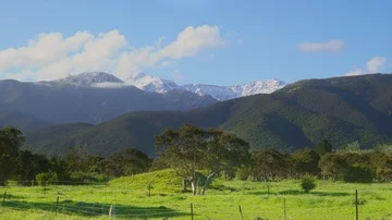 View of trees in front of snow topped mountains Stock Footage 85491241
