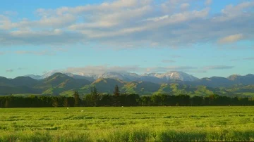 View of trees in front of snow topped mountains Vídeo Stock 85491249