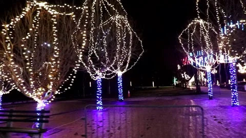 View of Trees Glowing at Night during Christmas Holiday Light Show Stock Footage 168109691