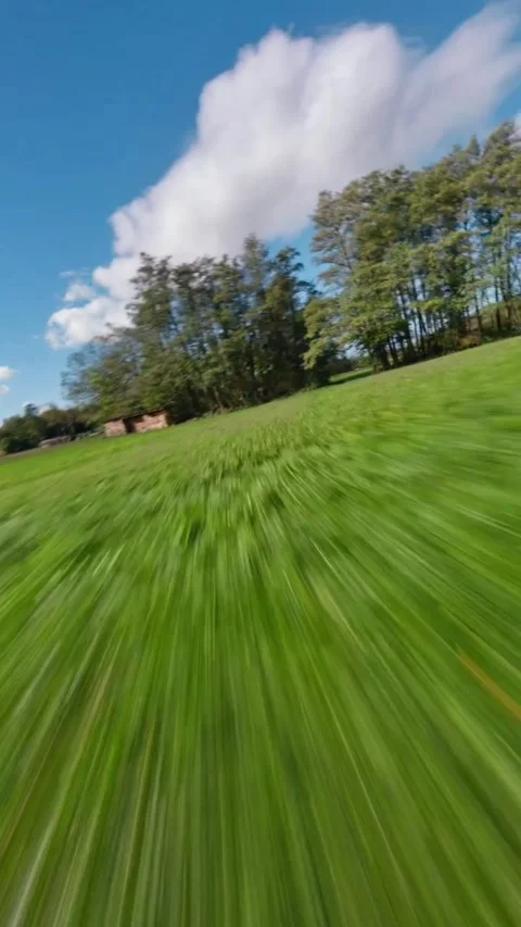 View of trees in the green field Stock Footage 272925785