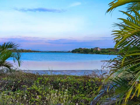 View from trees, leaves, sky, clouds, lake Foto stock