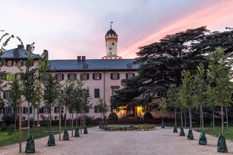 View of the trees in the park and the Bad Homburg castle in the background at pu Stock Photos