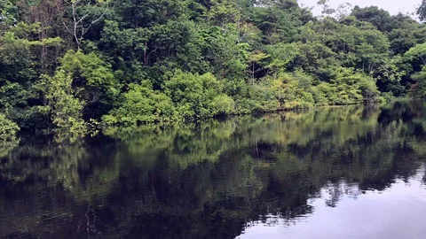View of trees passing by at river Stockbeeldmateriaal 107433361