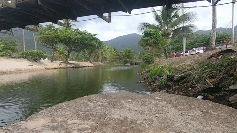 View of trees, river, bridge at Maracas Bay Video stock 335900073