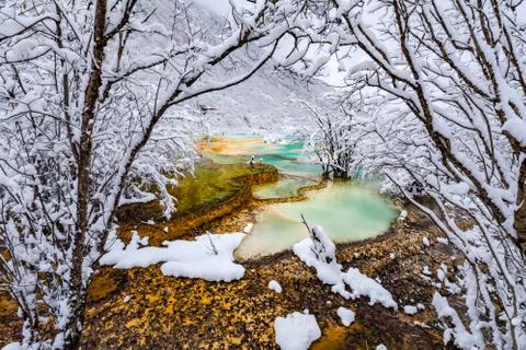 View of trees with snow covered branches and icy water Stock Photos