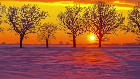 View of trees in a snowy landscape at sunset in Riga, Latvia. 库存影片 341454383