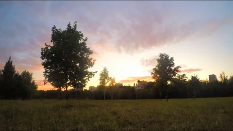 View Of trees in summer At Sunset Timelapse 스톡 동영상 82044876
