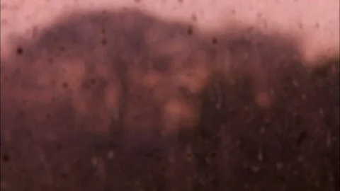 View of trees at sunset seen through dirty window Video stock 95604603