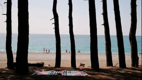 View from trees trunks to sea sand beach with tanned people Vídeo Stock 145842404