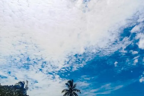 The view of trees with white clouds and a clear and beautiful blue sky Stock Photos