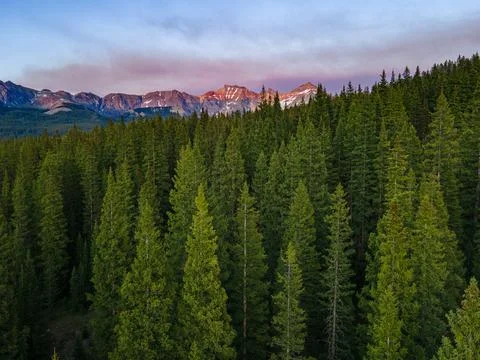 View of treetops and mountains at sunset, Colorado Stock Photos