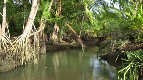 View of the tributary Stock Footage 234578075