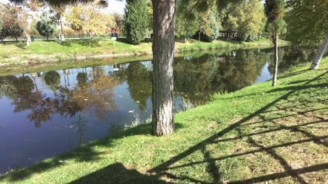 View of a tributary Stock Footage 234729161