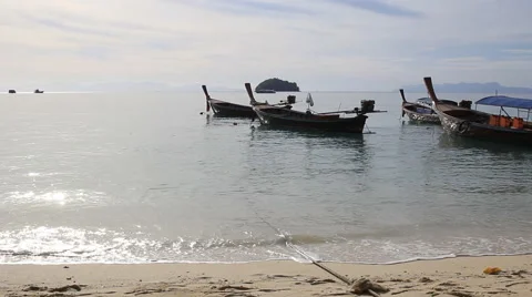 View of a tropical beach caribbean Vidéo 64514210