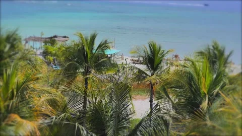 A view of a tropical beach, coconut trees and aqua waters. Stock Footage 221115869
