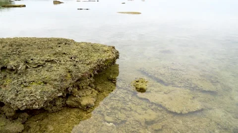 View of a tropical beach featuring large mossy rock formations on the sand. Stock Footage 329690679