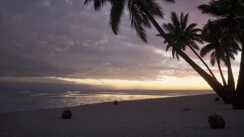 View of a tropical beach Stock Footage 327480012