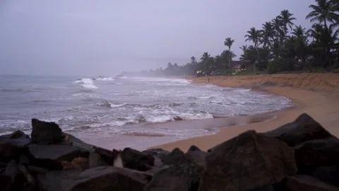 View of a tropical beach with palm trees, Sri Lanka. Stock-Footage 335601917