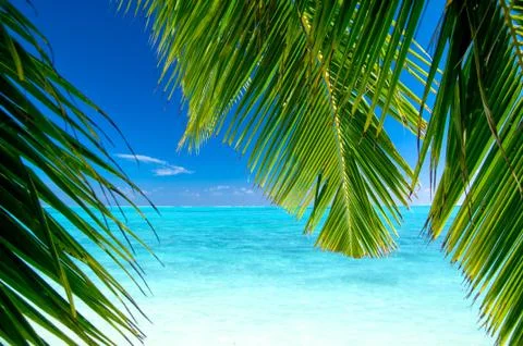 View to a tropical beach Stock Photos