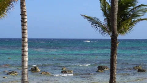 View of tropical beach through coconut palm trees. Tourists ride parasailing Vídeos de archivo 89916614