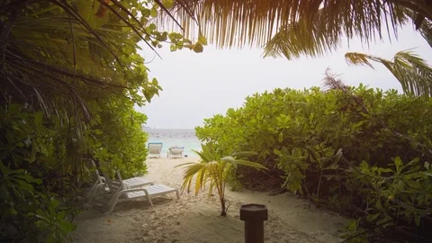 View of Tropical Beach through Vegetation in the Maldives Stock Footage 76084671