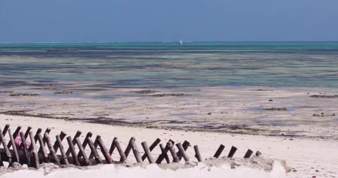 View on the tropical beach with white sand Stock Footage 149427787