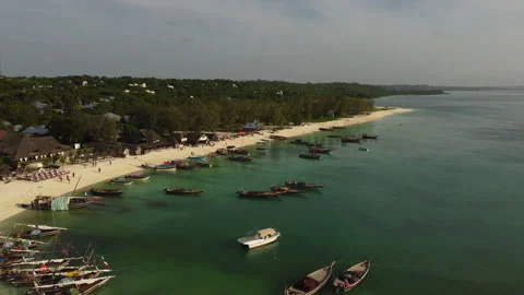 View on Tropical Beach Zanzibar Stock Footage 334209197