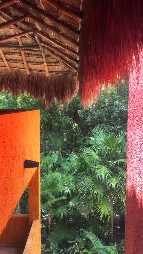 View of Tropical Foliage from Under a Thatched Roof Stock Footage 331515493